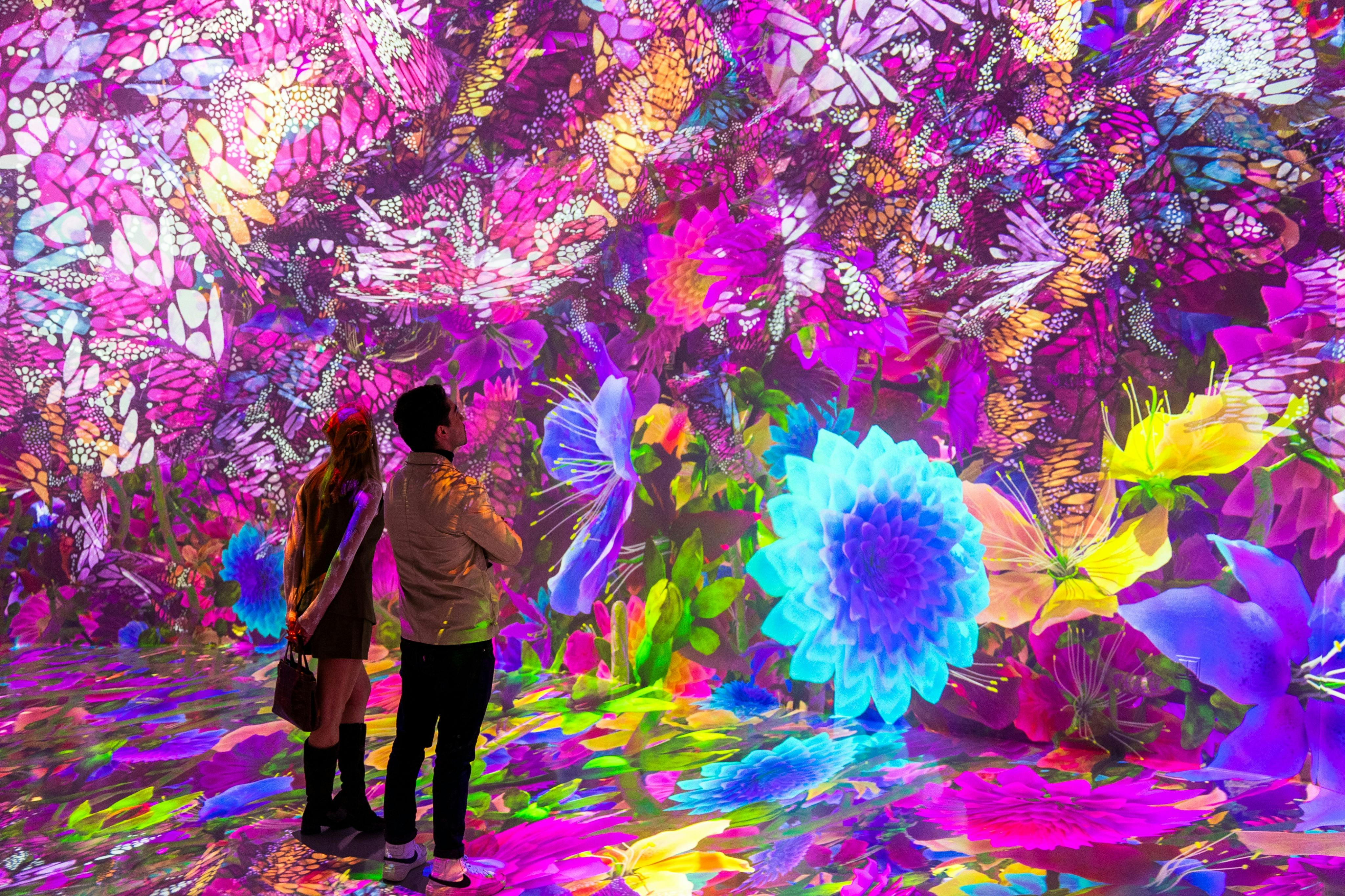 Artechouse Houston Tickets - Photo 1 of 6